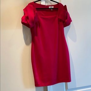 Belle Badgley Mischka fuschia dress